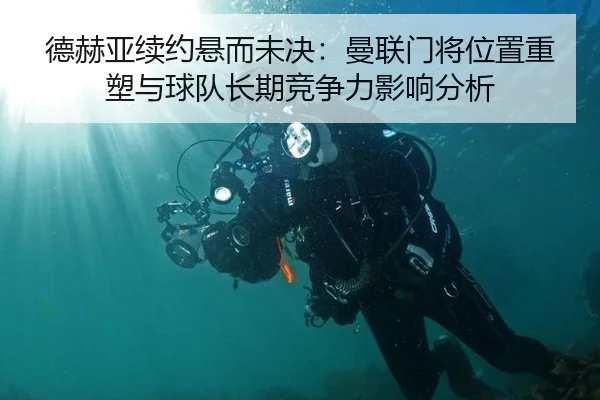 de-he-ya-xu-yue-xuan-er-wei-jue-man-lian-men-jiang-wei-zhi-zhong-su-yu-qiu-dui-zhang-qi-jing-zheng-li-ying-xiang-fen-xi-2-176.jpg